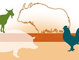 Diversidad genética de los animales domésticos