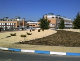 Las Rozas implanta jardinería sostenible en rotondas y medianas