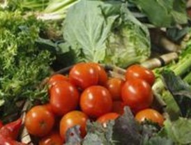 Tomate, merluza y plátano bajaron de precio en agosto