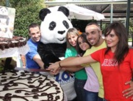 Miles de niños acompañan a los osos panda del Zoo en la celebración de su cumpleaños