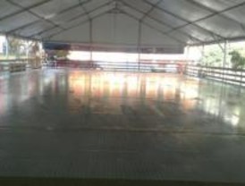 Una pista de patinaje sobre hielo en el centro