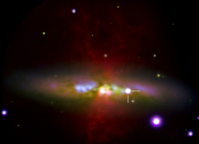 Observaciones de la supernova SN 2014J con el Telescopio William Herschel