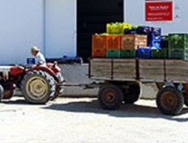 Los agricultores de Fuenlabrada y Móstoles se organizan en patrullas para vigilar sus tierras