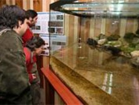 La Comunidad prepara un proyecto para el control de las visitas a Peñalara