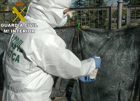 Detenido el presunto autor del homicidio de una mujer descuartizada en San Martín de Valdeiglesias