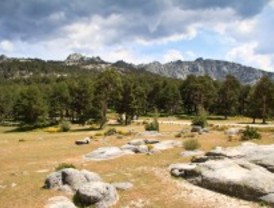 El Senado aprueba el Parque Nacional de la Sierra de Guadarrama