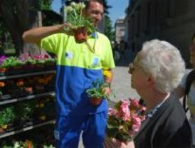 Un millón de plantas de flor embellecerán la ciudad