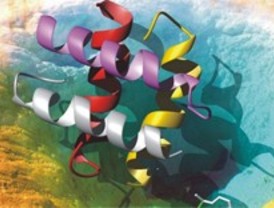 La magia de las proteínas