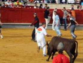 Tres contusionados en el segundo y último encierro de las fiestas de Parla