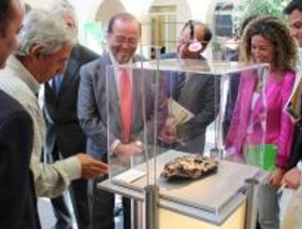 Exposición sobre minerales del Mediterráneo en Pozuelo de Alarcón