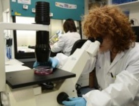 La Comunidad dará 172 becas para técnicos de FP en paro