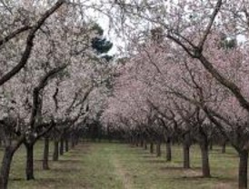 I Certamen Nacional de Pintura Rápida del parque Quinta de los Molinos