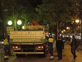 La caída de un árbol obliga a cortar varios carriles del Paseo de la Castellana