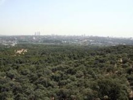La Casa de Campo seguirá protegida contra los incendios