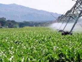 ¿Qué pasa si ponemos precio al agua?