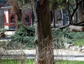 Rachas de viento de 70 km por hora y temperaturas invernales