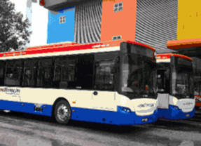 Autobuses GMV