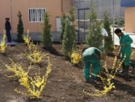 158 menores infractores lograron empleo en 2008