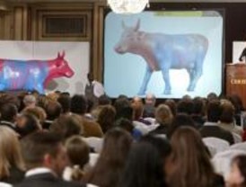 Las vacas recaudan 238.000 euros para fines benéficos