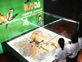 Alcalá acoge una exposición sobre la riqueza ecológica de la región
