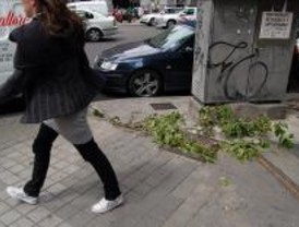 Los vientos alcanzarán este fin de semana los 70 km/h en la Comunidad
