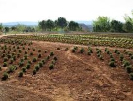 Sendas, charlas y exposiciones muestran la riqueza medioambiental de la región