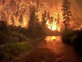 Encierro de los trabajadores contratados de incendios forestales en Villalba