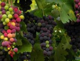 La feria Fruit Atracction acercará al sector hortofrutícola