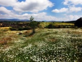 Nace la plataforma antivirus (anti viviendas rurales sostenibles)