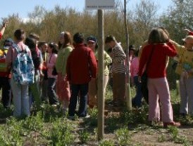 Talleres medioambientales para escolares en Ciudad Lineal