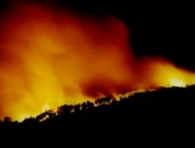 Este verano aumentaron los incendios forestales