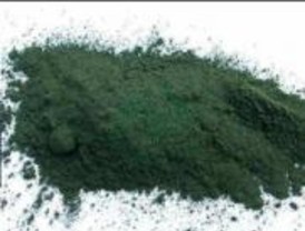 Microalga spirulina: otro alimento funcional para nuestra dieta