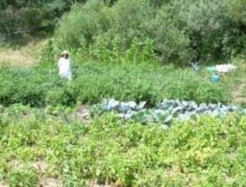 La Cámara crea una comisión del medio rural