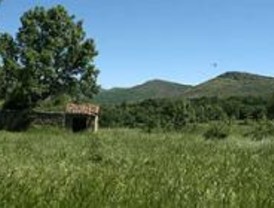 Dieciséis artistas alertan sobre el cambio climático, en la Fundación Canal