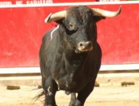 Los mayores de la región otorgan los premios Trofeo Taurino de San Isidro