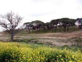 El parque de Valdebebas da un paso más