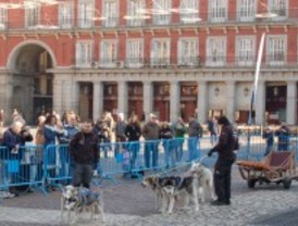 La competición de 'mushing', 'Pirena', presenta su XXII edición con una exhibición