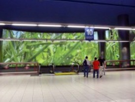 La ruta del museo subterráneo