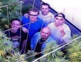 Fuenlabrada acoge un festival de rock por la salud mental