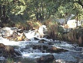 La Comunidad protege los ríos Alberche y Cofío declarándolos Zona Especial de Conservación