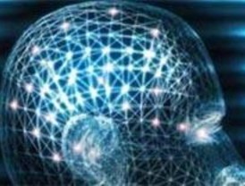 Investigadores de la UAM para conocer cómo funciona el cerebro humano