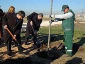 Vallecas renovará algunos de sus espacios verdes