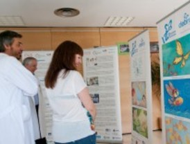 La Paz expone el proyecto '12 mariposas solidarias'