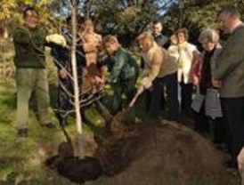 El Ayuntamiento plantará más de 30.000 árboles este invierno en Madrid
