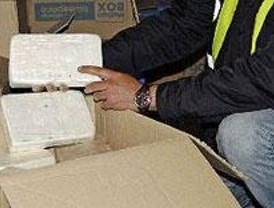 La Policía intercepta 73 kilos de cocaína y desmantela en Perales del Río un laboratorio de droga