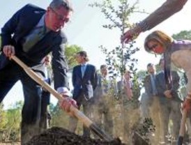 La Casa de Campo tendrá más encinas y menos carreteras