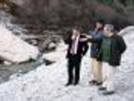 Unos 1.000 árboles y arbustos repoblarán la Cuenca Alta del Manzanares