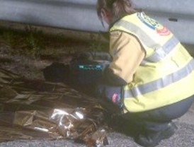 Atropello mortal en la M-50