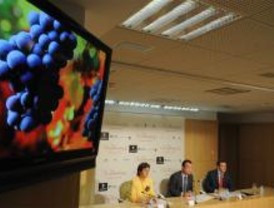 La vendimia llega a Ortega y Gasset