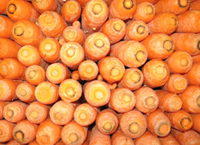 En España se descarta el 20% de frutas y hortalizas por no cumplir los estándares